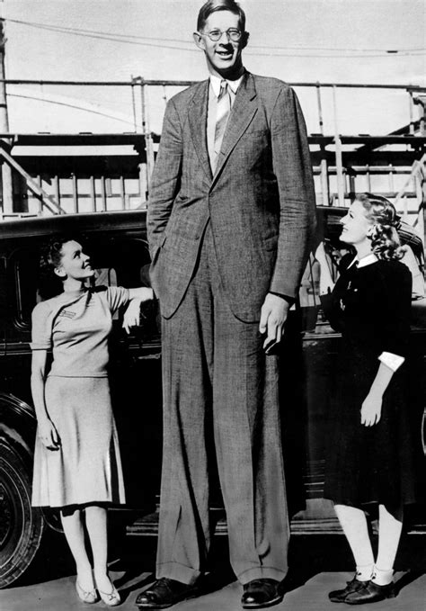 wadlow|More.